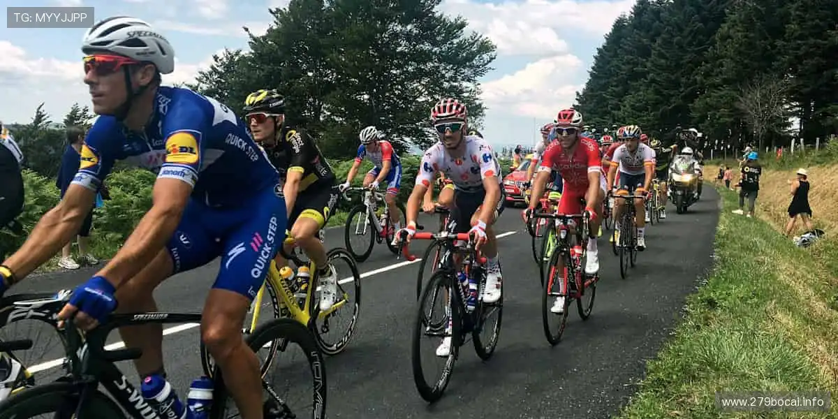 赛场争锋，汗水铸就荣耀勋章！🥇✨